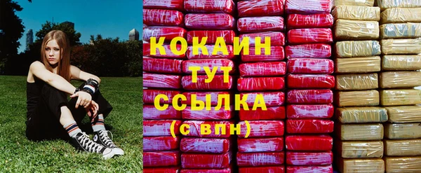 прущие крисы Магас