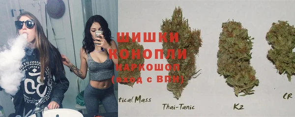гашик Ладушкин