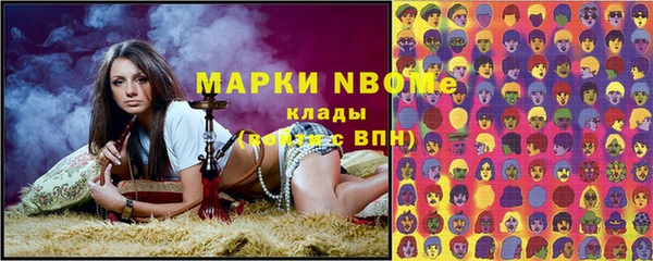 гашик Ладушкин