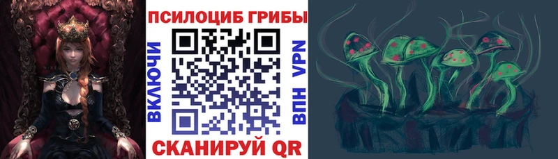 Псилоцибиновые грибы Psilocybine cubensis Нестеровская