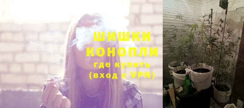 купить   Нестеровская  Конопля Ganja 